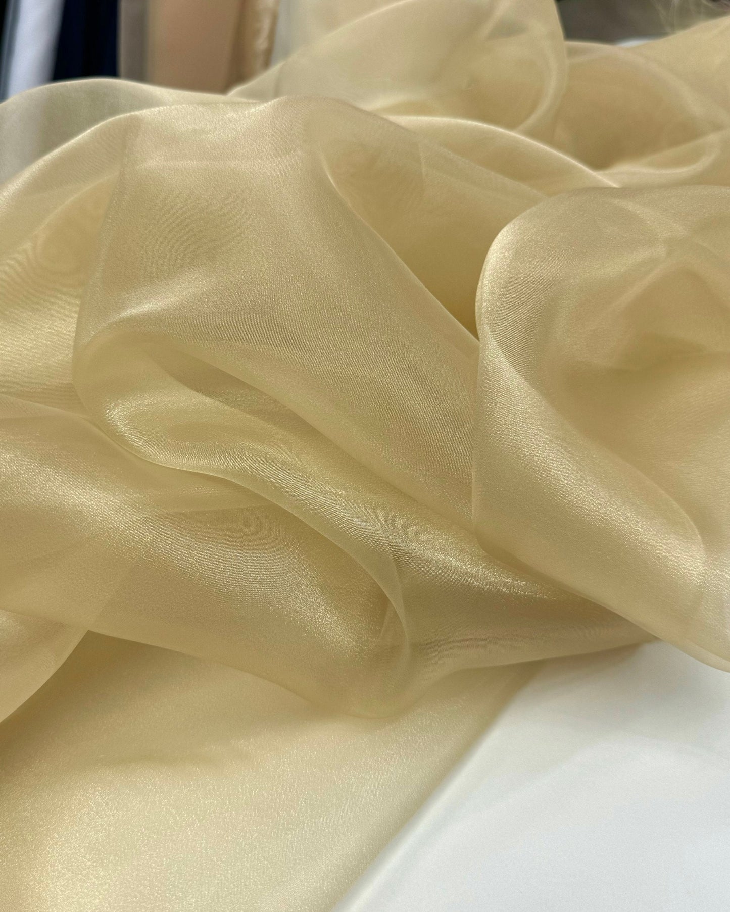 Champagne Crystal Organza