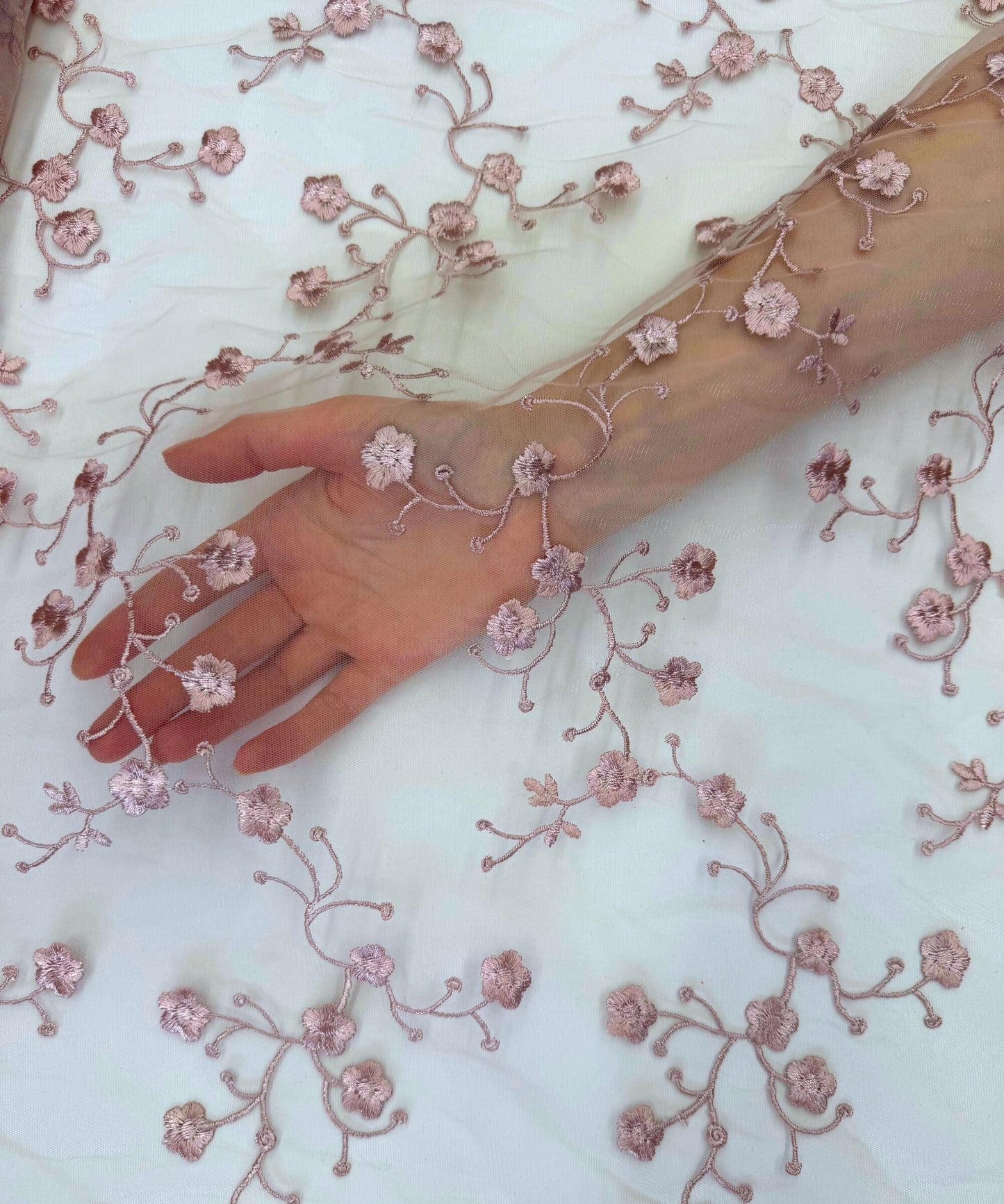 Scallop Lace Fabric