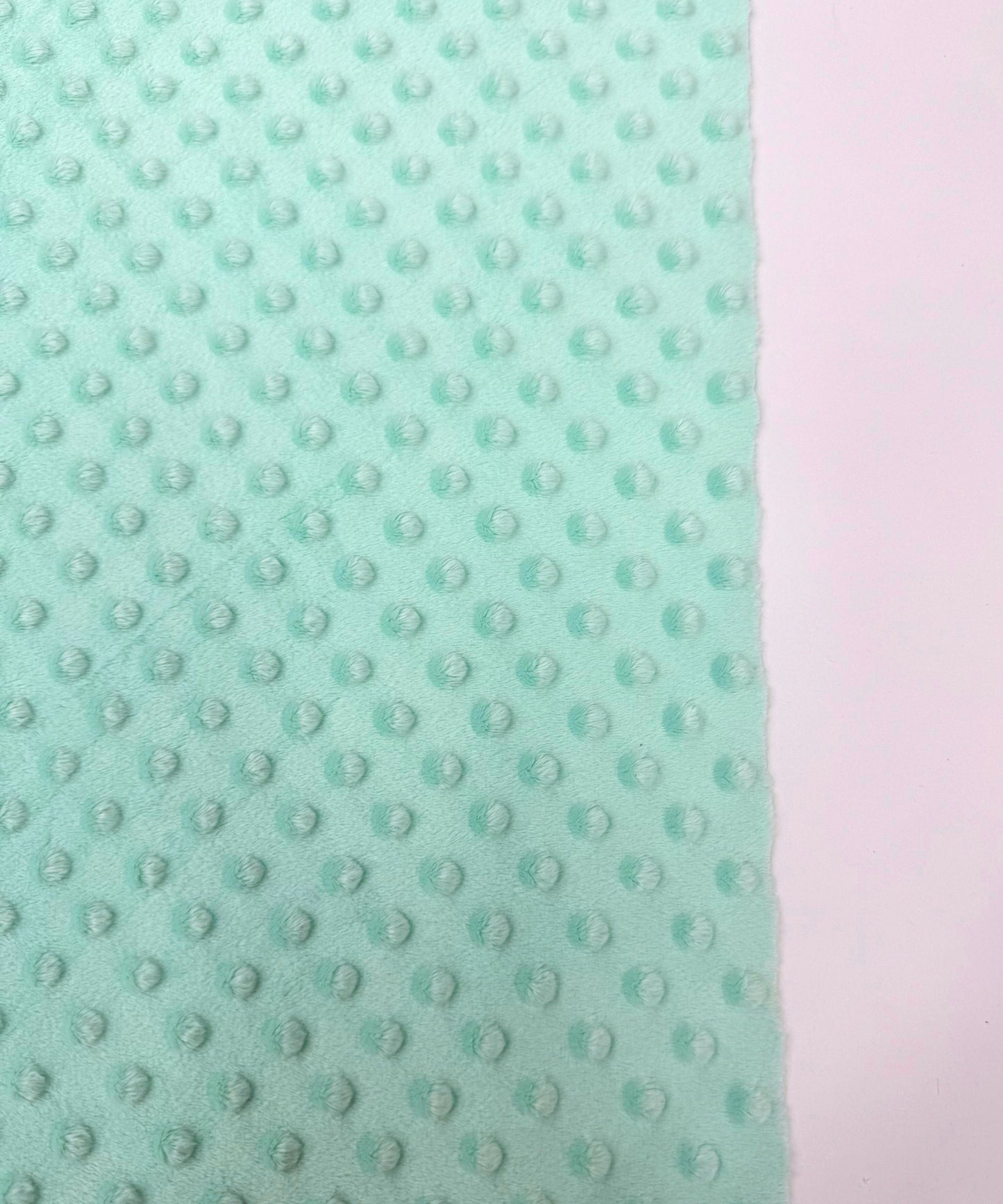 Mint Minky Fabric