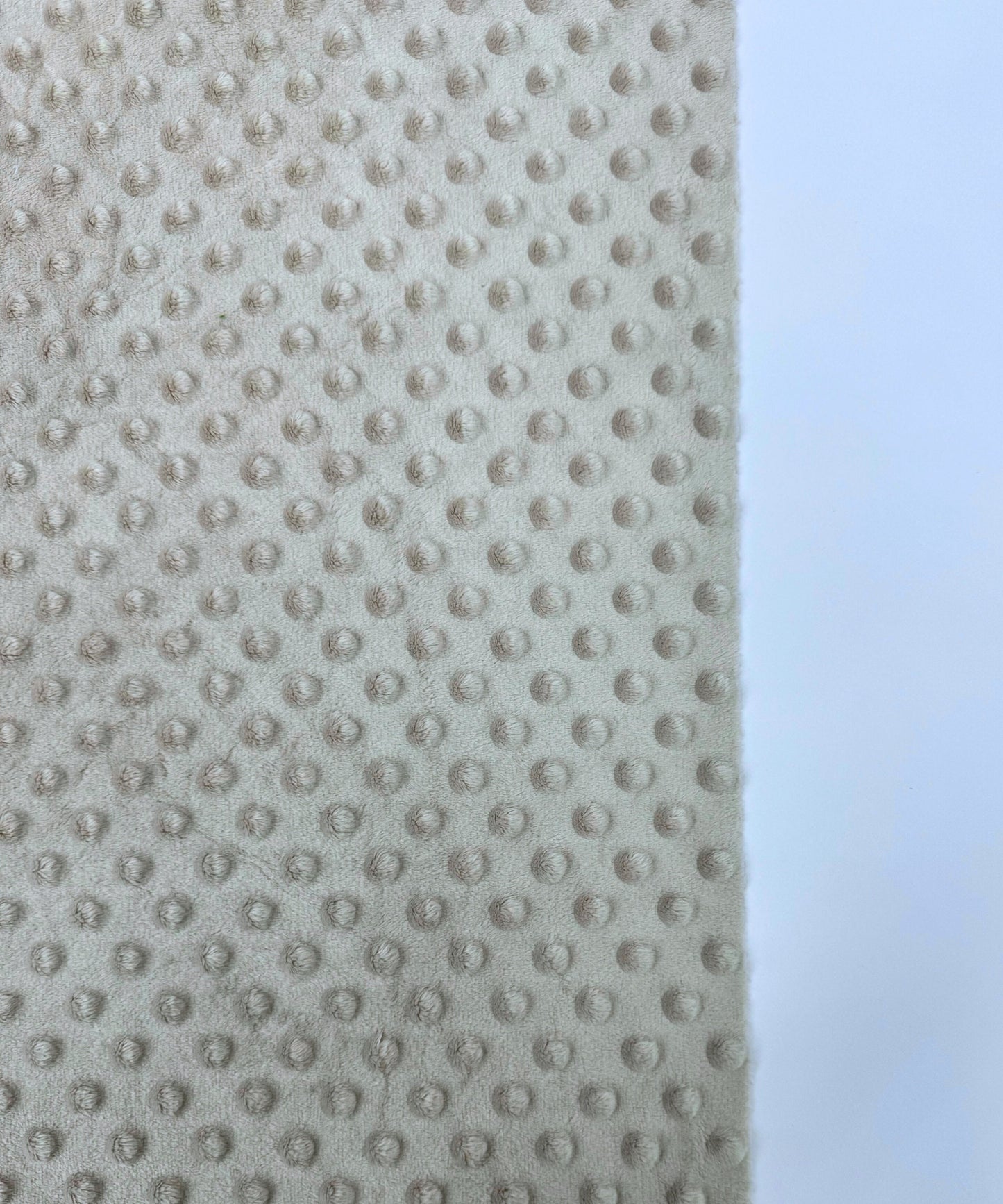 Silver Minky Fabric