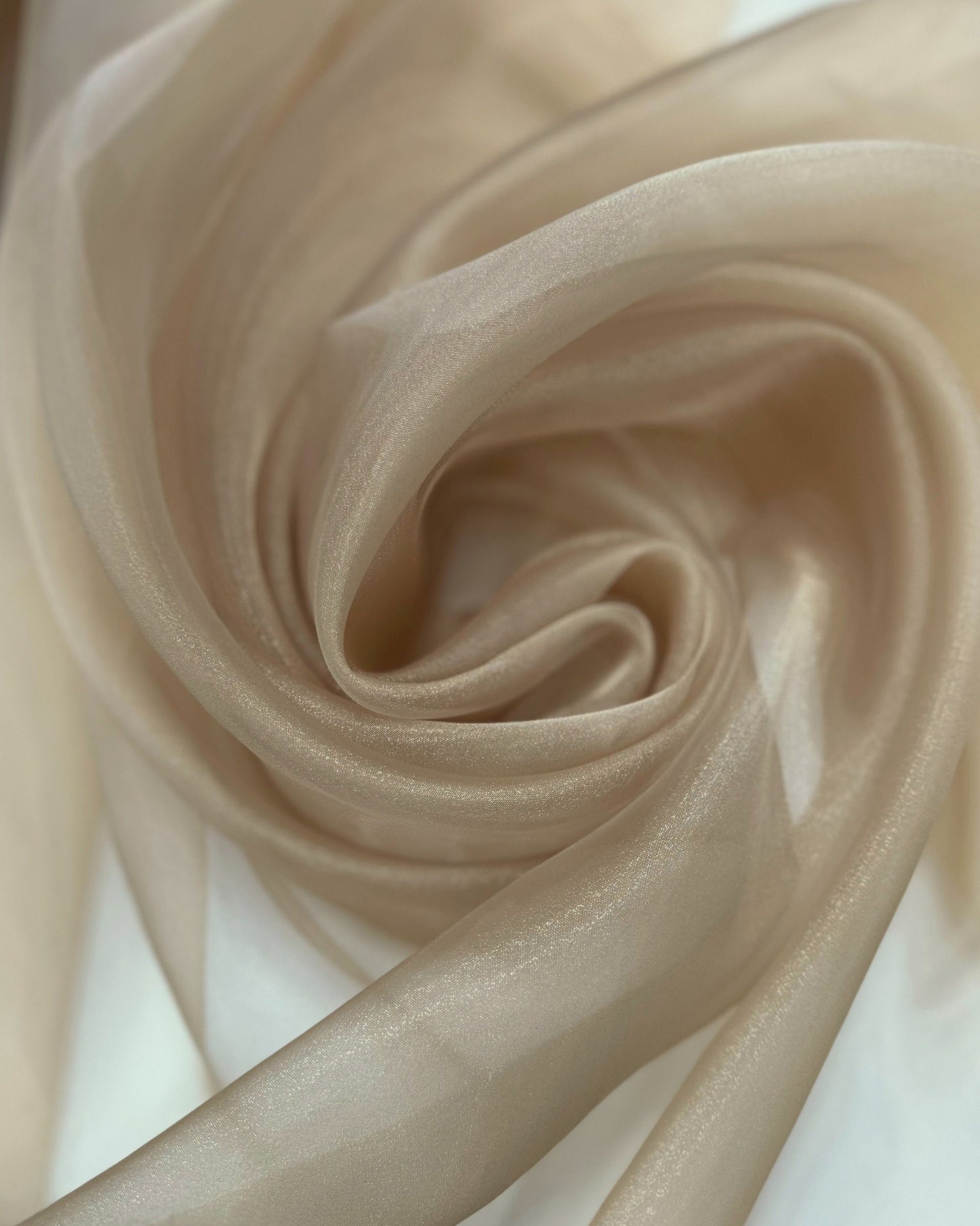 Light Gold Organza